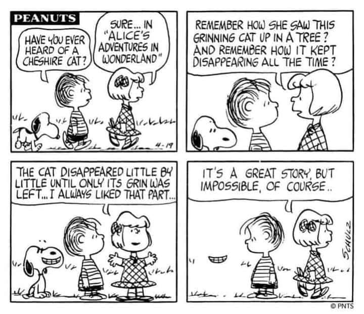 charles m schultz cartoon peanuts featuring snoopys ability to disappear leaving only his smile like the cheshire cat