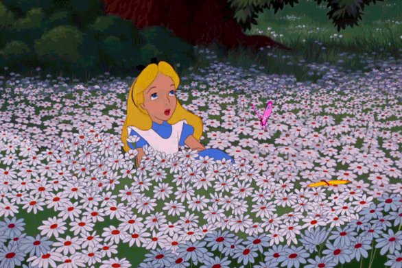 Animated image, or GIF of Alice laying down in a field of daisies, while butterflies circle above her head.